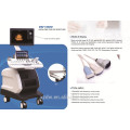 High end trolley type 4d color doppler with volume probe